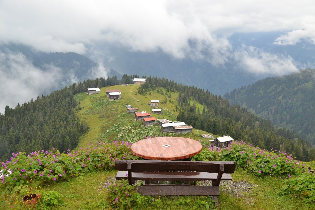Pokut Yaylası