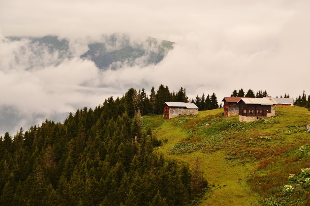 Pokut Yaylası