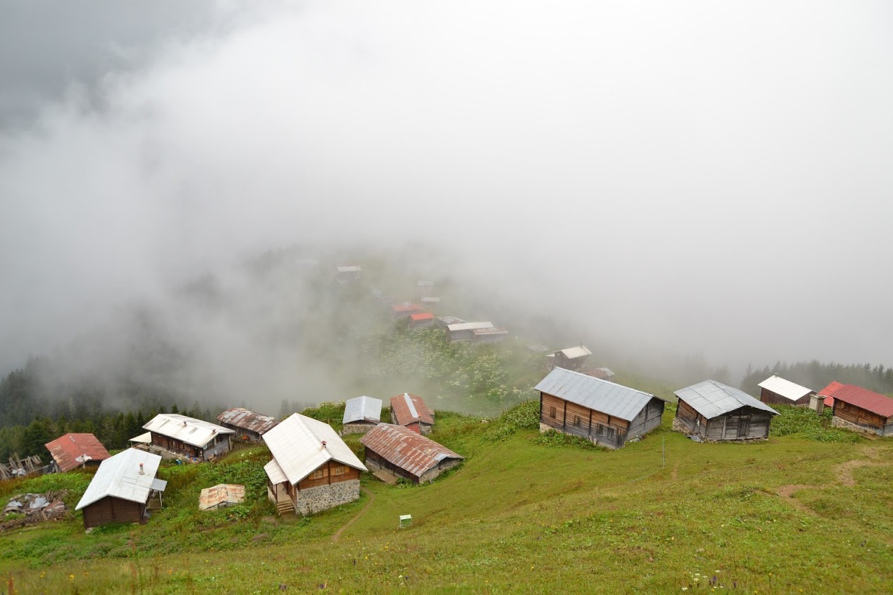 Pokut Yaylası